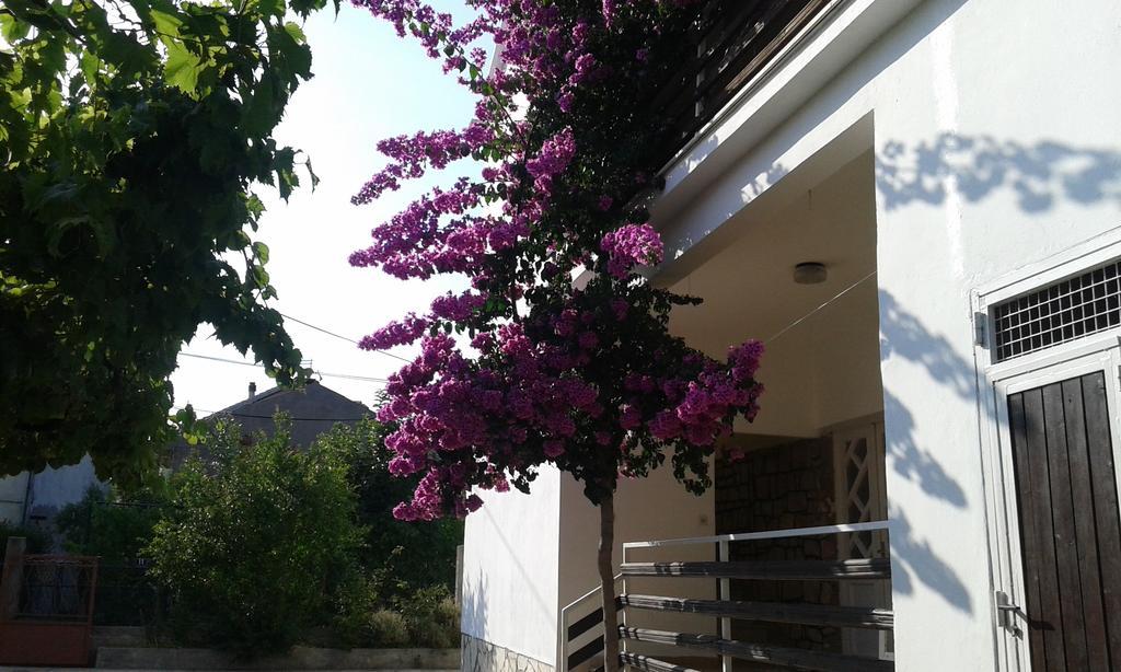 Apartment Anna Zadar Exterior photo